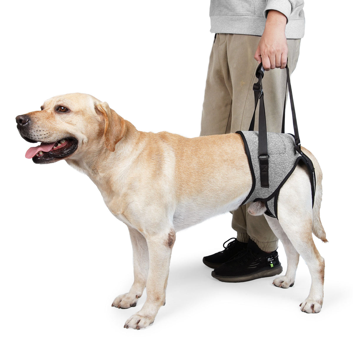 Lift and support sling for older dogs