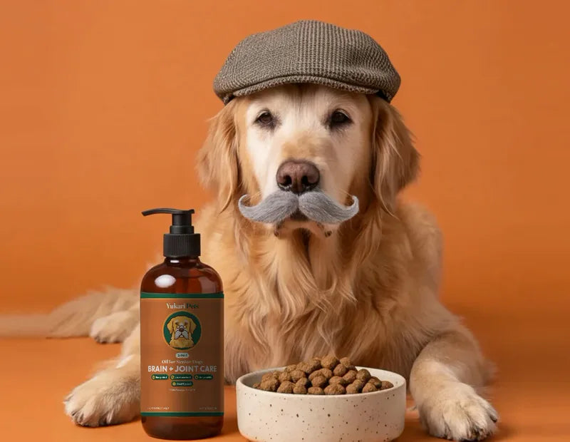 A senior golden retriever in a flat cap and grey moustache lies behind a bowl of kibble and a bottle of Yukari Pets Brain + Joint Care oil